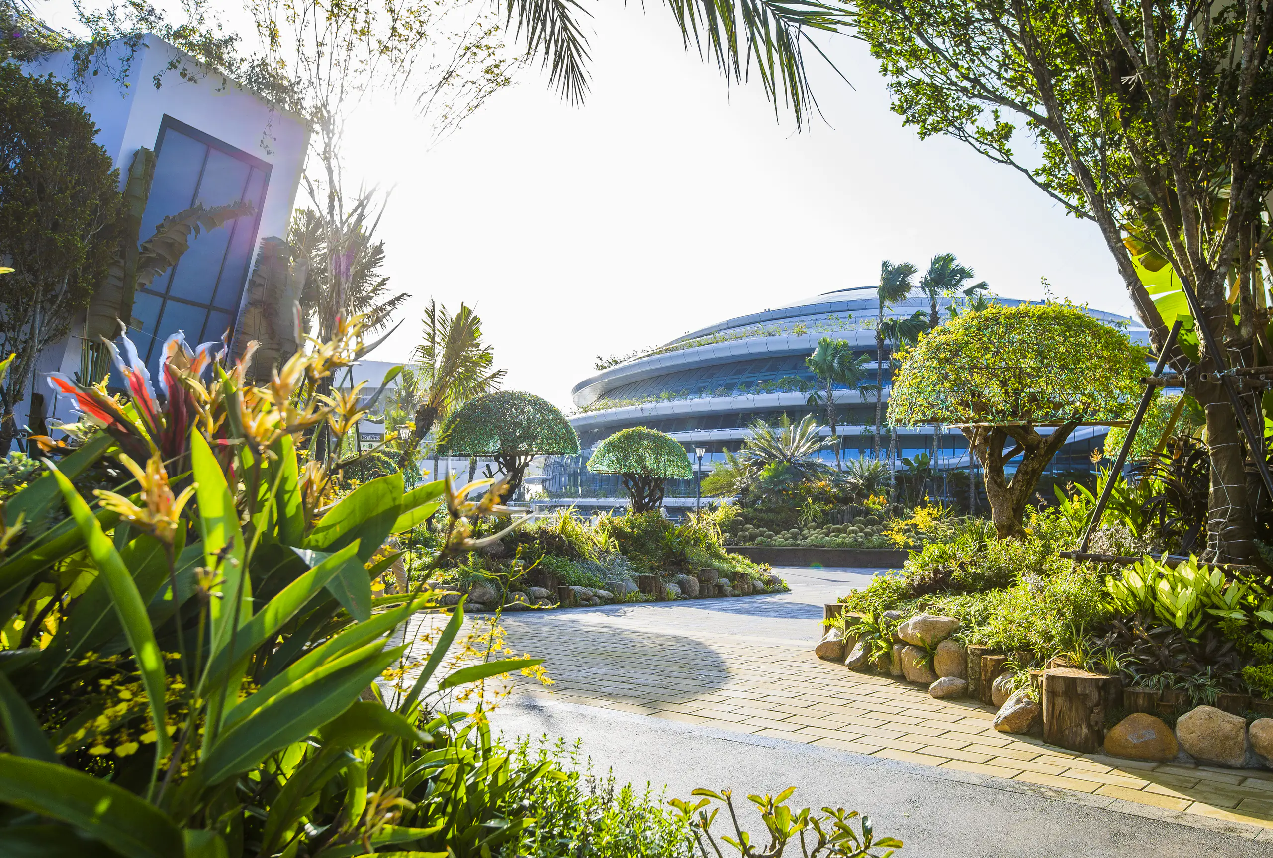 Tropical planting and paved garden path leading to the domed sales gallery at Forest City